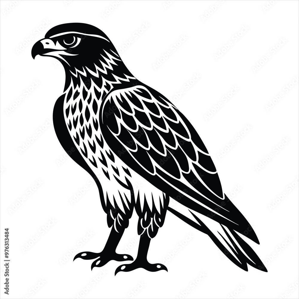 Fototapeta premium Hawk silhouette vector