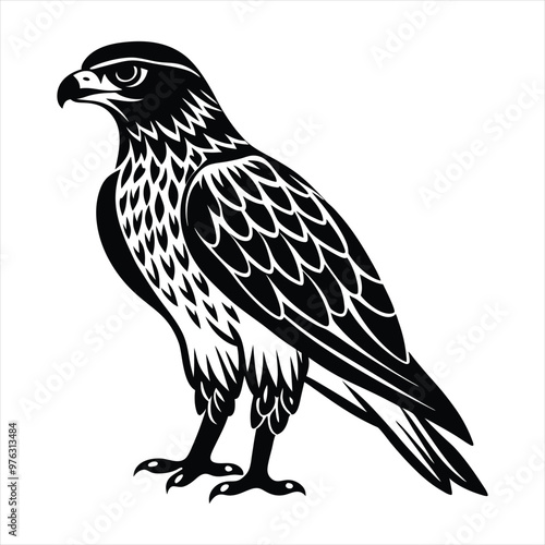 Hawk silhouette vector