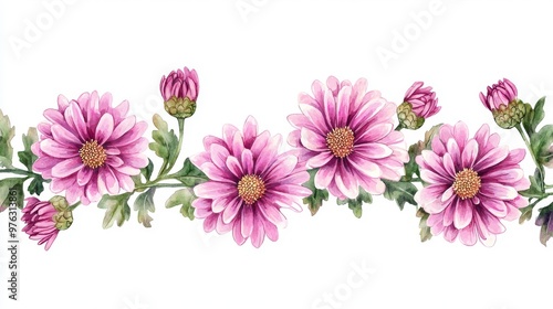 Colorful hand-drawn chrysanthemums in pink