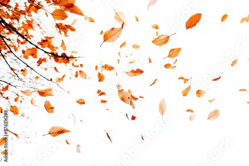 Simplistic autumn scene with orange leaves gently falling against a stark white background, emphasizing the beauty of the season.