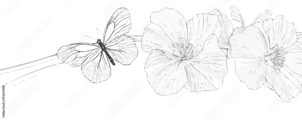 Fototapeta premium A butterfly is resting on a flower