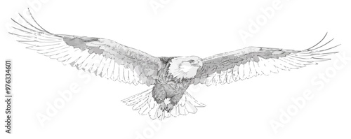 A bird with its wings spread out in the air