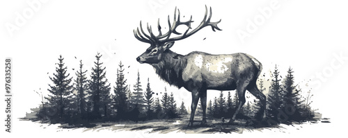 Vector illustration of hand drawn noble deer