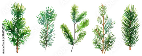 A series of green trees with branches and leaves