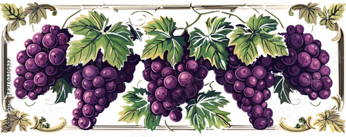 Wine. Grapes. Logo, label. Vector