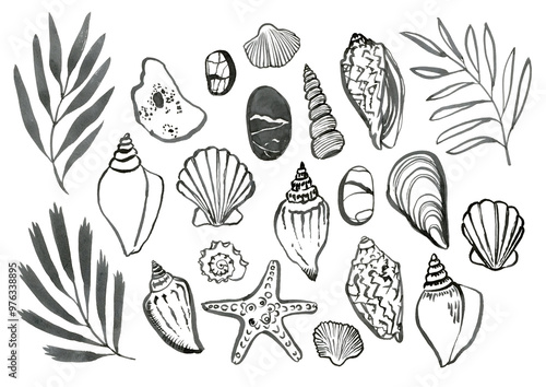 Hand drawn sea shells with sea stones, graphic elements for design, ink hand drawn shells and stones elements for print, textile, packaging design, clothes prints, wrapping paper, textile, invitations