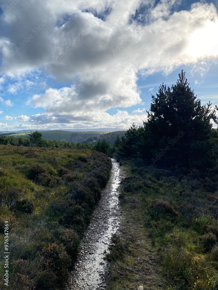 Natures footpath guiding us through the beauty of north wales Natures footpath guiding us through the beauty of north wales
