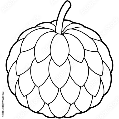 Custard Apple Vector