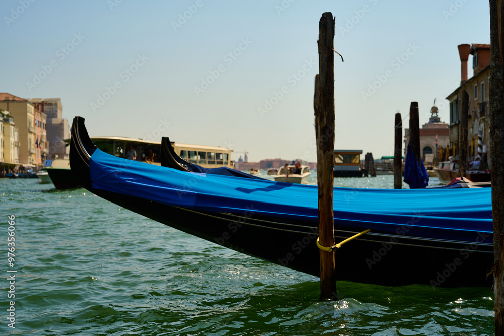 Venice and its canals,streets,buildings and birds Venice and its canals,streets,buildings and birds