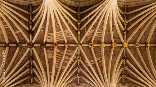 A detail of the vaulted ceiling of Exeter cathedral, Devon, UK