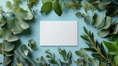 Fresh green leaves arranged around a blank card on a light blue background