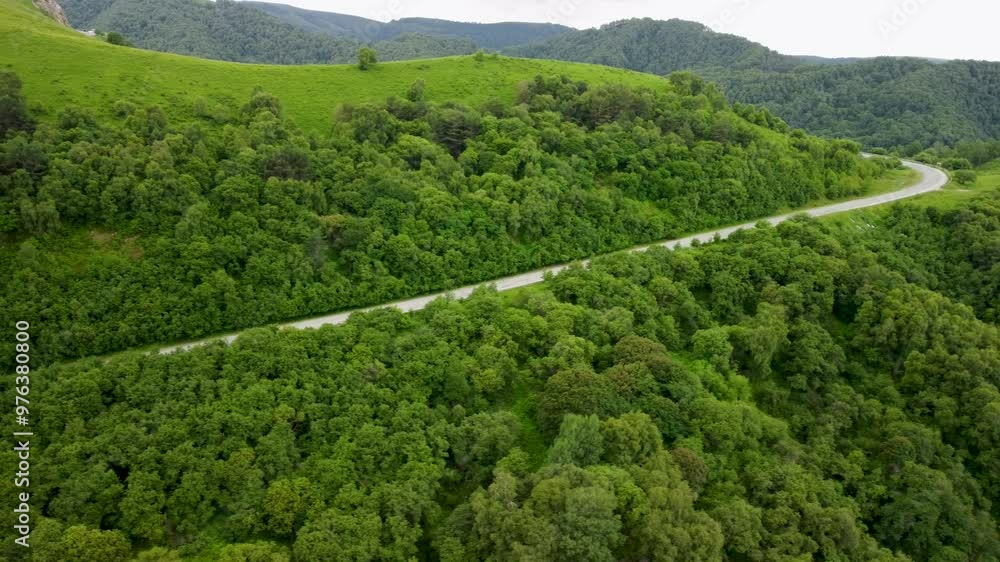 Scenic drive through lush green hills in summer near a winding road Scenic drive through lush green hills in summer near a winding road