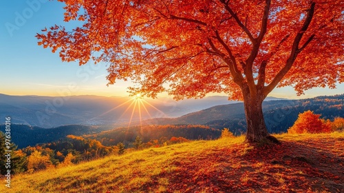 Vibrant autumn landscape with colorful trees and sunlit mountains in the back...