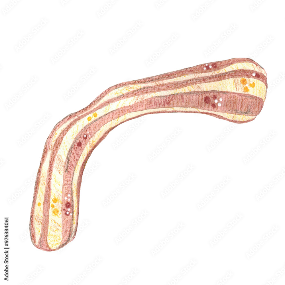 Bacon on a white background. Watercolor illustration, hand drawn in children's style. food, meat, piece, bacon strip, bacon, product, kitchen, cooking Bacon on a white background. Watercolor illustration, hand drawn in children's style. food, meat, piece, bacon strip, bacon, product, kitchen, cooking
