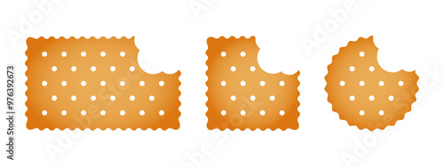 Set of bitten crackers. Sweet or salty biscuit cookies in round, square and rectangle shapes. Popular children crunchy snacks isolated on white background. Vector cartoon illustration.