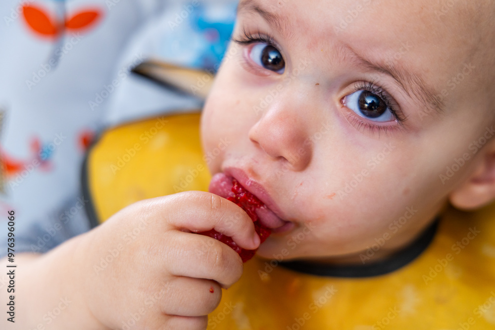 Close-Up of Adorable Baby Eating Fresh Raspberry With Curious Expression Close-Up of Adorable Baby Eating Fresh Raspberry With Curious Expression