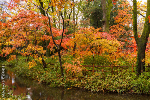 日本の風景・秋 雨の京都 紅葉の糺の森