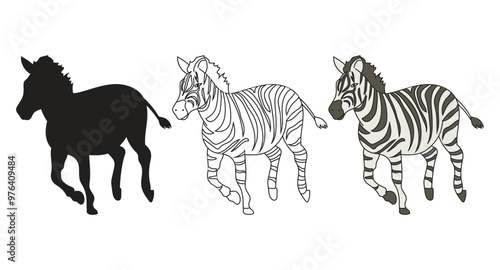 Running Zebra Drawing photo