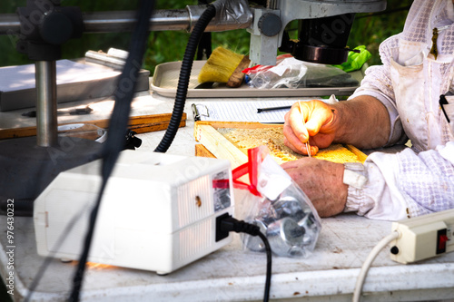 Beekeeper performing an assay on a brood frame photo