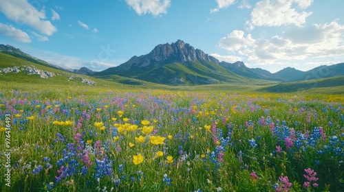 Lush verdant meadow bursting with a vibrant array of wildflowers at the base of a rugged rocky mountain range