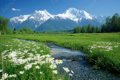 Mountain Stream Flowing Through a Field of Daisies