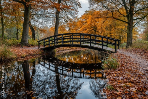 A Wooden Bridge Over a Stream in Autumnal Forest