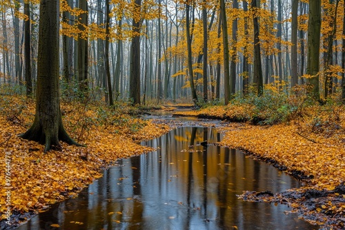 A Serene Stream Flowing Through an Autumnal Forest