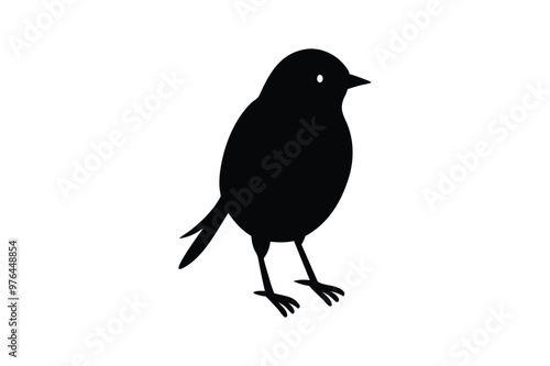 Beautiful Magpie Bird vector art and illustration