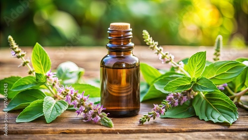 Essential oil of holy basil flower, a fragrant and therapeutic oil used in aromatherapy and natural medicine
