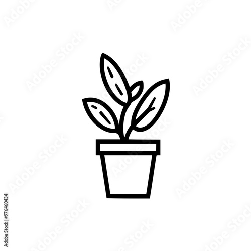 Outline drawing of a potted plant with three large leaves.
