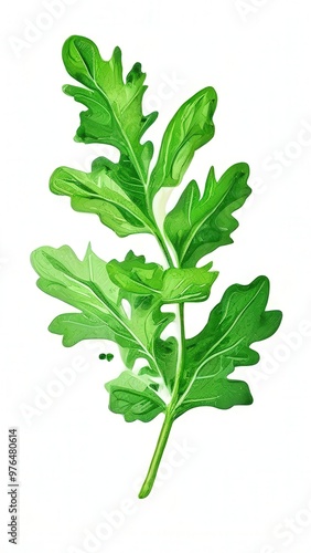 the AI Image Generator, fresh parsley isolated