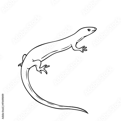 lizard line vector illustration