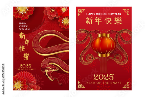 Happy chinese new year 2025 year of the snake vector illustration poster template