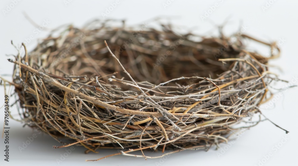 Obraz premium Empty Bird Nest Made of Twigs