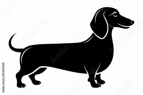 Dachshund dog silhouette, Dachshund icon, Vector black silhouette.