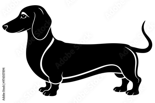 Dachshund dog silhouette, Dachshund icon, Vector black silhouette.