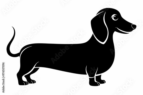 Dachshund dog silhouette, Dachshund icon, Vector black silhouette.