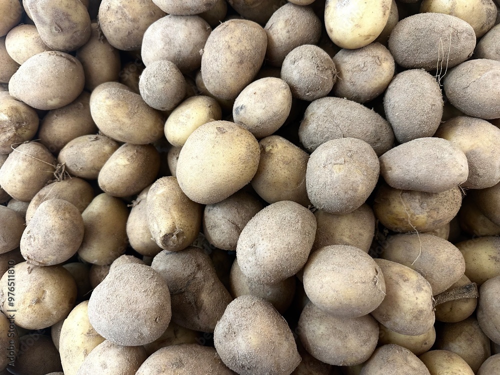 Top view of a group of raw potatoes sale at the groceries market in Malaysia. Top view of a group of raw potatoes sale at the groceries market in Malaysia.