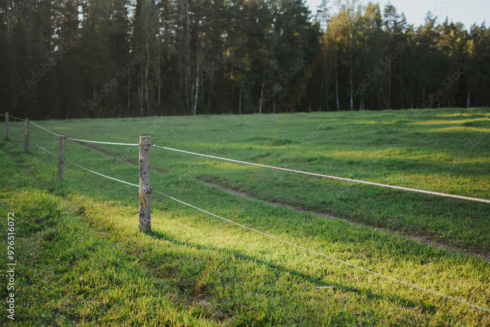 a large plot of meadow with a wooden fence in sunny summer weather a large plot of meadow with a wooden fence in sunny summer weather