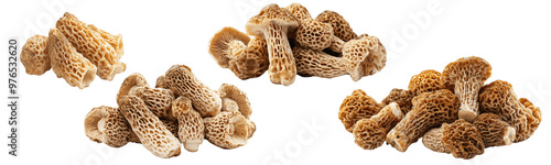 A collection image of a pile of fresh Morel mushrooms, isolated on a white background with a clipping path, close-up view, leave plentiful space... 