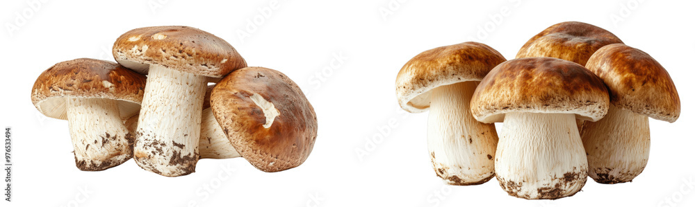 A collection image of a pile of fresh black Truffles mushrooms, isolated on a white background with a clipping path, close-up view, leave plentiful space...
A collection image of a pile of fresh black Truffles mushrooms, isolated on a white background with a clipping path, close-up view, leave plentiful space...
