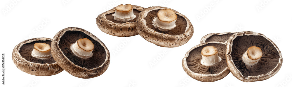 A collection image of a pile of fresh black Truffles mushrooms, isolated on a white background with a clipping path, close-up view, leave plentiful space...
A collection image of a pile of fresh black Truffles mushrooms, isolated on a white background with a clipping path, close-up view, leave plentiful space...