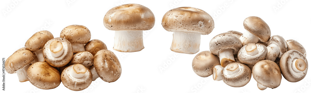 A collection image of a pile of fresh black Truffles mushrooms, isolated on a white background with a clipping path, close-up view, leave plentiful space...
A collection image of a pile of fresh black Truffles mushrooms, isolated on a white background with a clipping path, close-up view, leave plentiful space...
