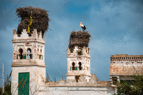 Three Storks on Traditional Home, Tangier Morocco