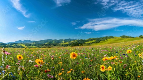 colorful summer meadow with wildflowers in full bloom, rolling hills in the background, and a bright blue sky overhead, ideal for adding copy space for text