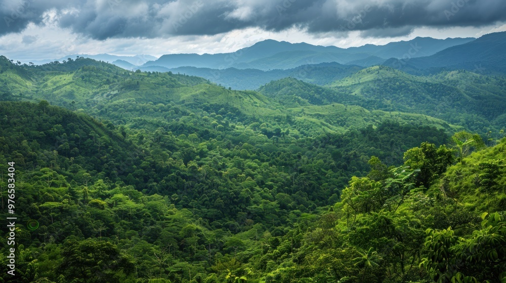 A lush green mountain range with dense forests and rolling hills A lush green mountain range with dense forests and rolling hills