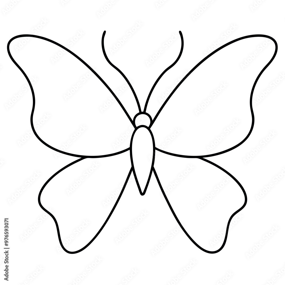 Naklejka premium Butterfly vector illustration. 