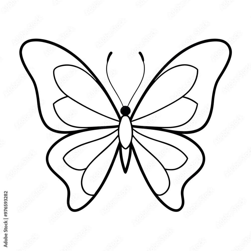 Butterfly vector illustration.
Butterfly vector illustration.