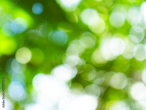 Green nature background bokeh leaf nature summer springtime blur sunlight natural fresh foliage environment ecosystem zero carbon envergy change backdrop, mockup product aesthetic beauty organic.