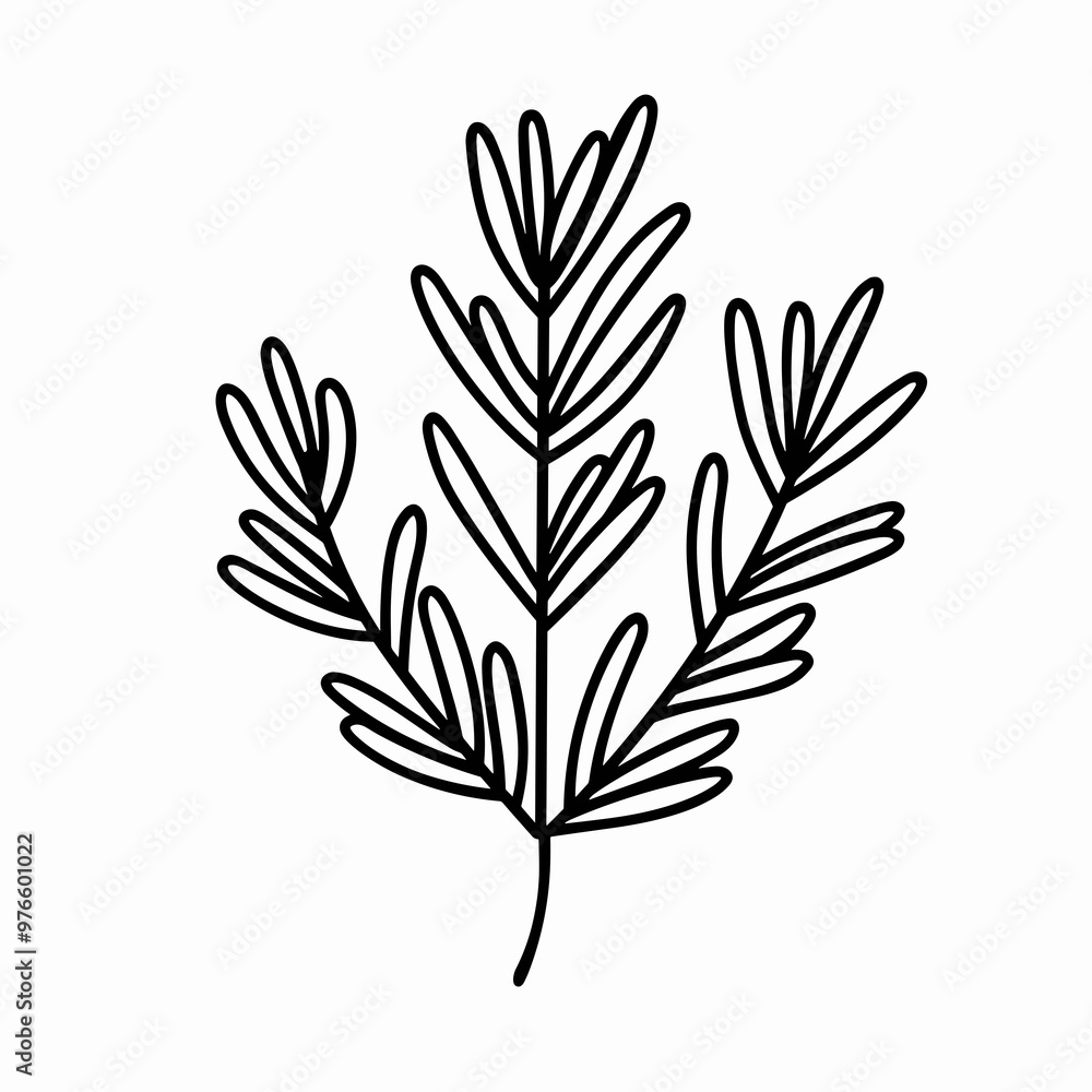 A detailed illustration captures a herbaceous plant featuring slender, elongated leaves, outlined in black against a minimalist background, emphasizing its delicate structure A detailed illustration captures a herbaceous plant featuring slender, elongated leaves, outlined in black against a minimalist background, emphasizing its delicate structure